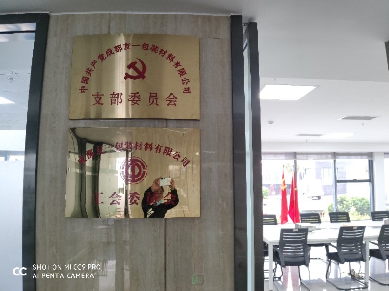 热烈祝贺J9集团国际站集团成都分公司党支部在2020年3月11日授牌成立，支部书记曹云(行政部经理)